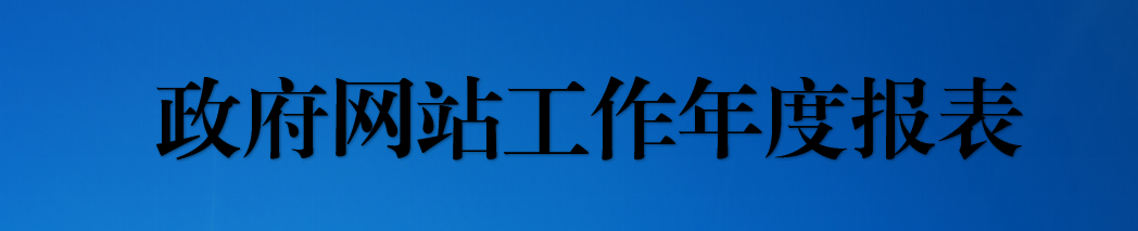 政府網(wǎng)站年度報(bào)表